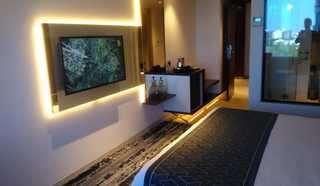 Hotel Sayaji Vadodara